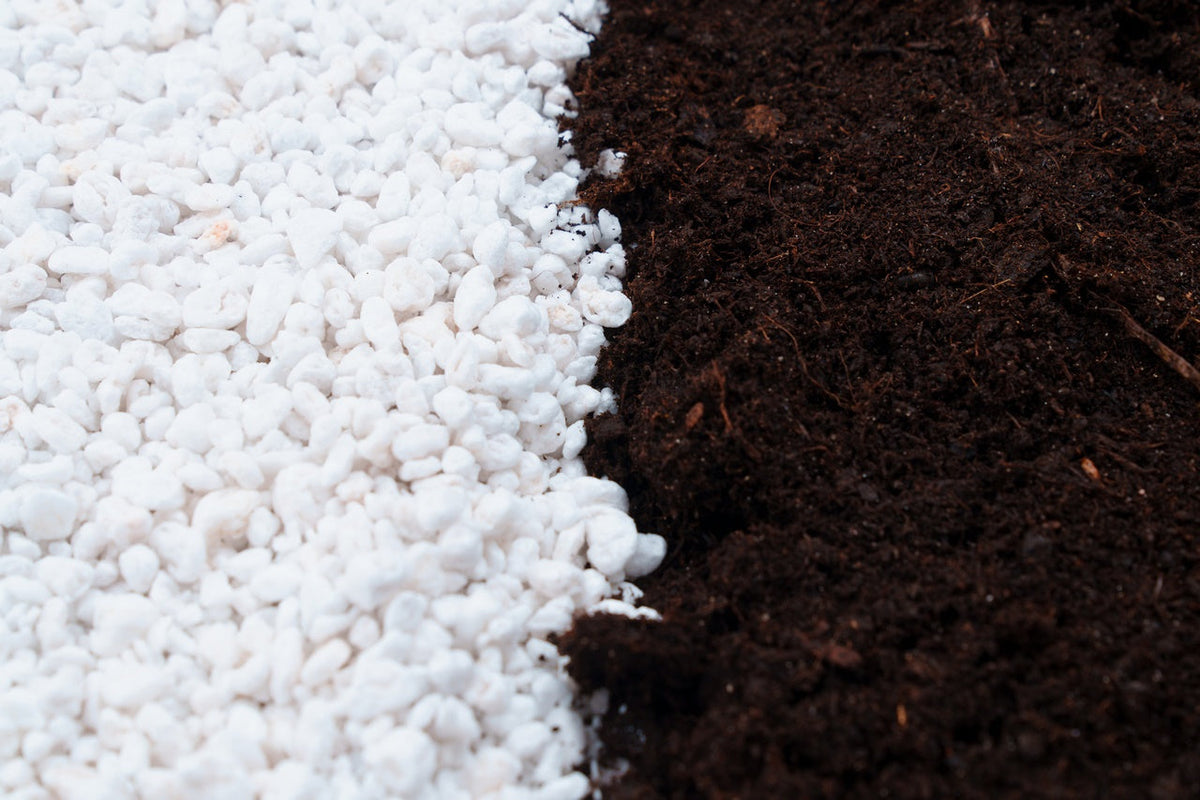 Perlite fabricant Espagne