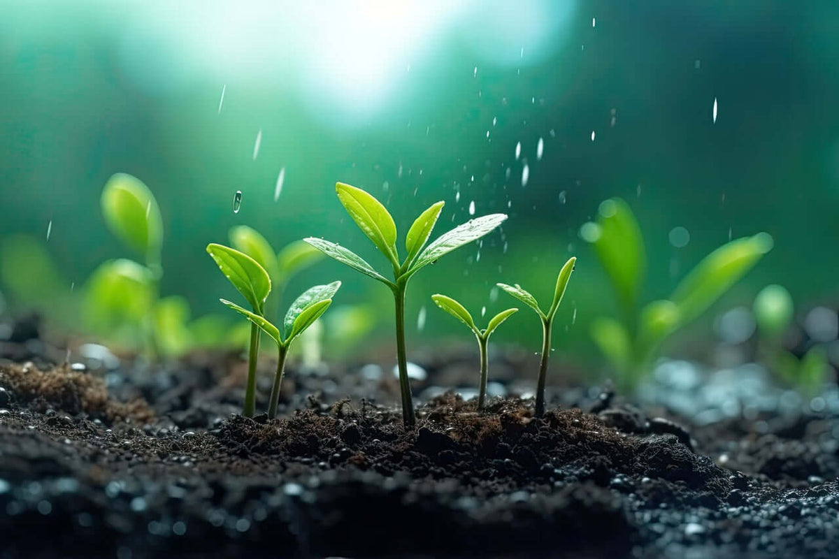 Fertilizantes-ECO-BIO Mineravi