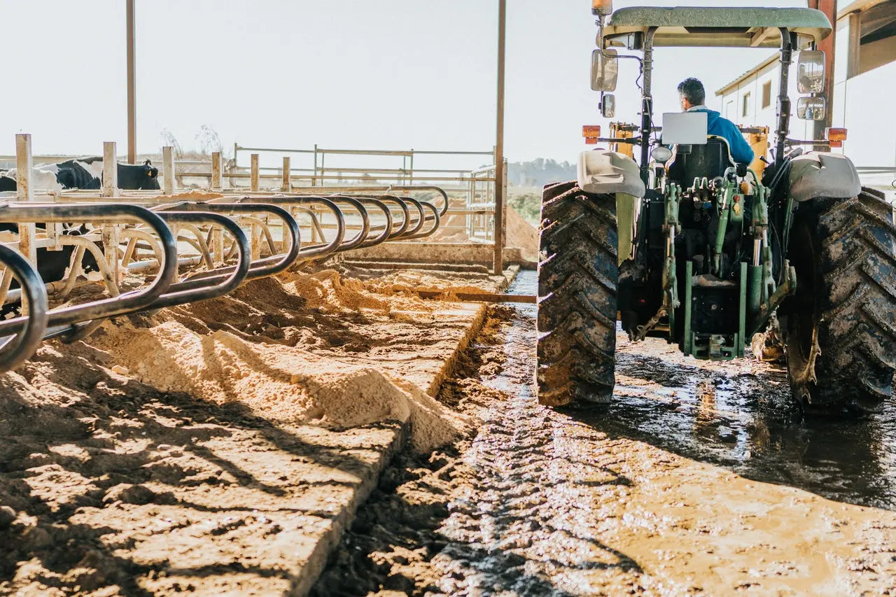 Litière en sable pour vaches Vicasani Mineravi