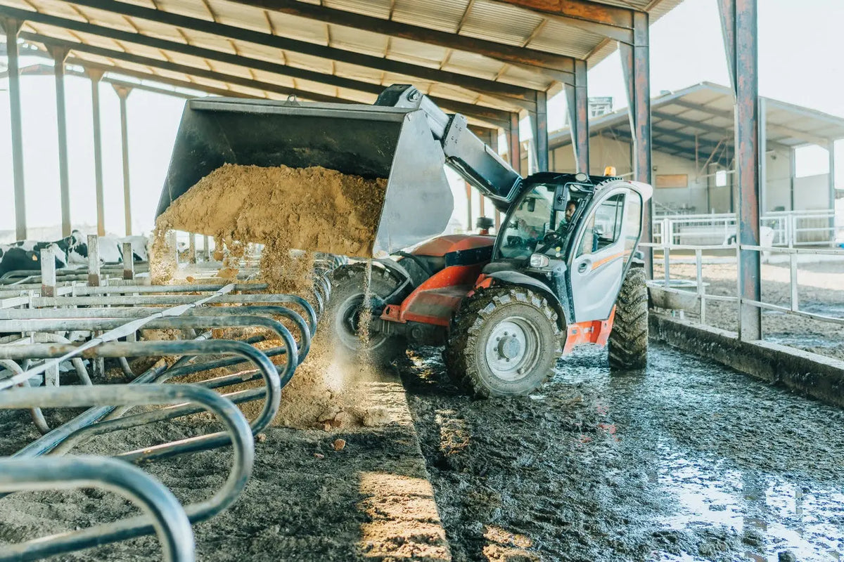 Litière en sable pour vaches Vicasani Mineravi