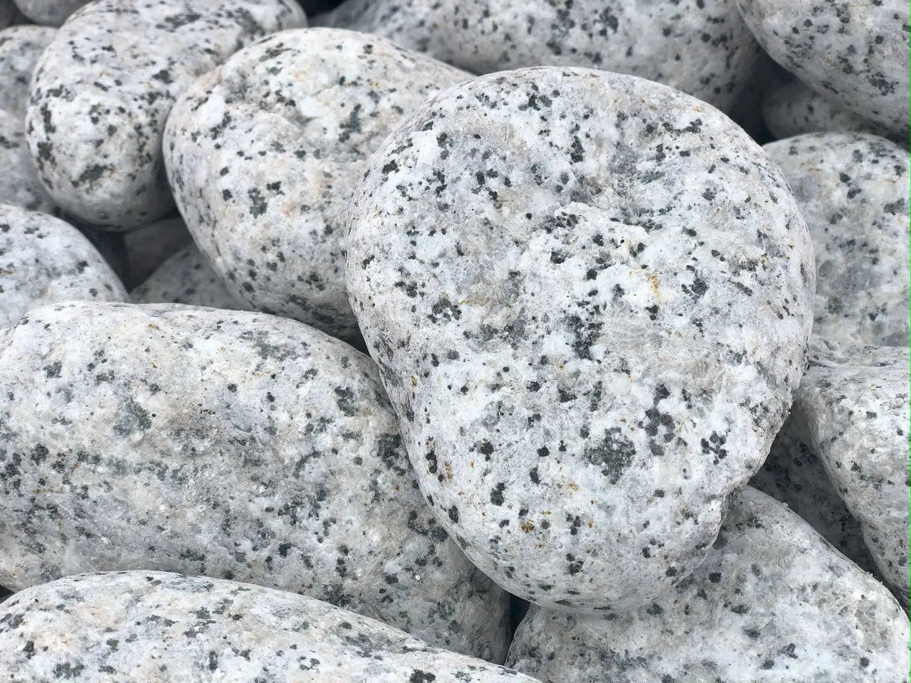 Piedra para Lecho Tortugas Vio Habit Vio Habit