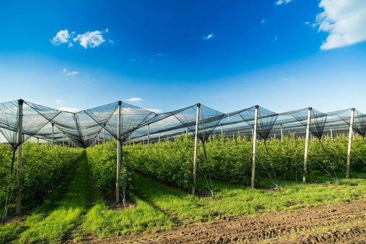 Las-Mallas-Agrícolas-El-Imprescindible-Compañero-de-los-invernaderos Mineravi