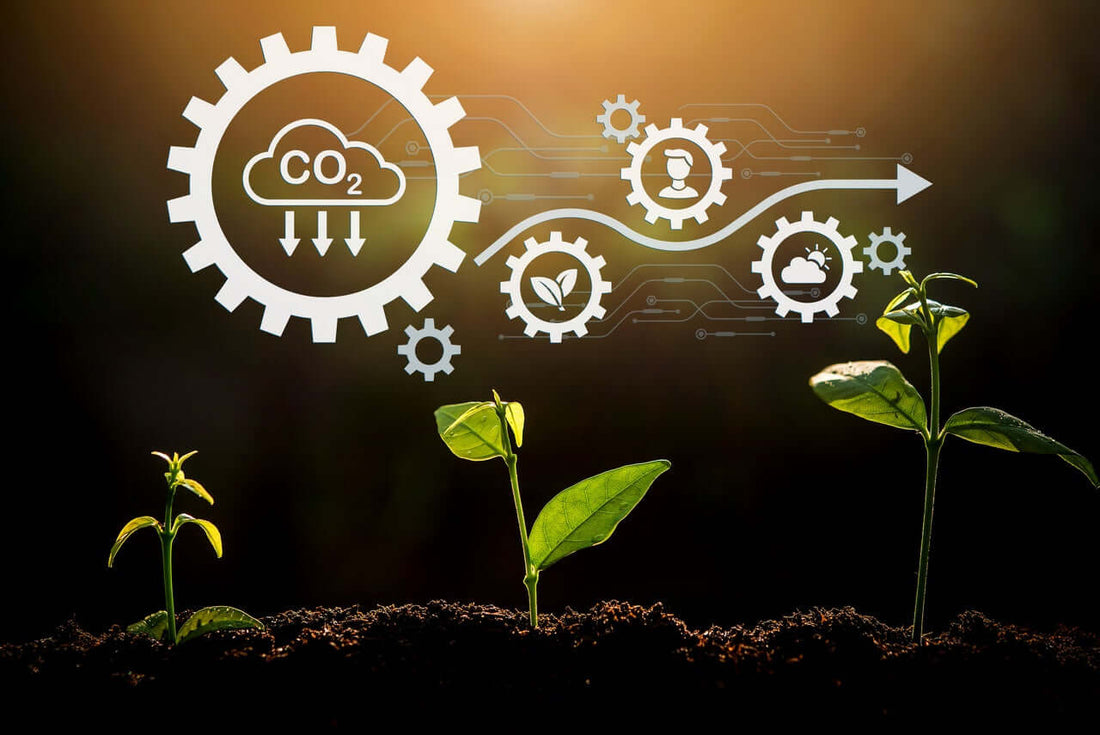 Qué-es-la-Agricultura-de-Conservación-y-la-Agricultura-de-Carbono Mineravi