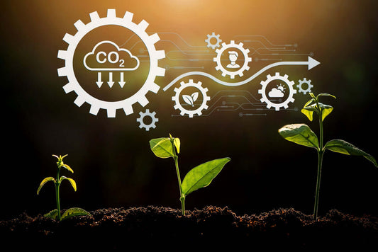 Qué-es-la-Agricultura-de-Conservación-y-la-Agricultura-de-Carbono Mineravi