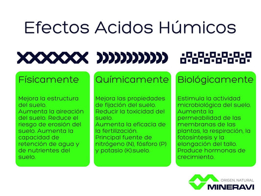 Acidos-humicos-y-fulvicos-porque-son-tan-buenos-para-suelos-de-cultivo Mineravi