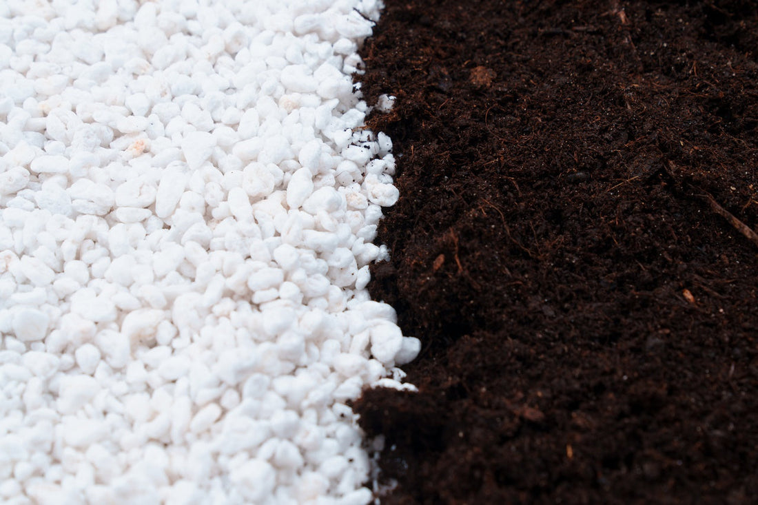 Perlite fabricant Espagne
