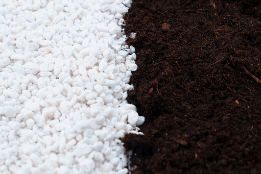 Perlite fabricant Espagne