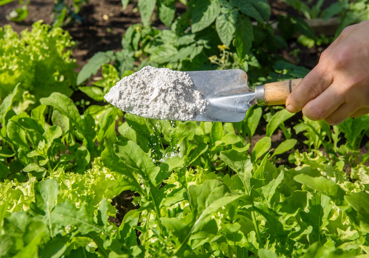 Tierra-de-Diatomeas-y-Tierra-de-Sommières-Usos-y-Diferencias Mineravi