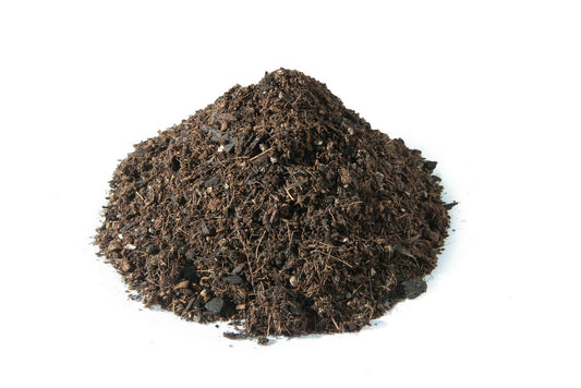 El-Mundo-de-las-Turbas-Turba-Rubia-y-Turba-Negra Mineravi