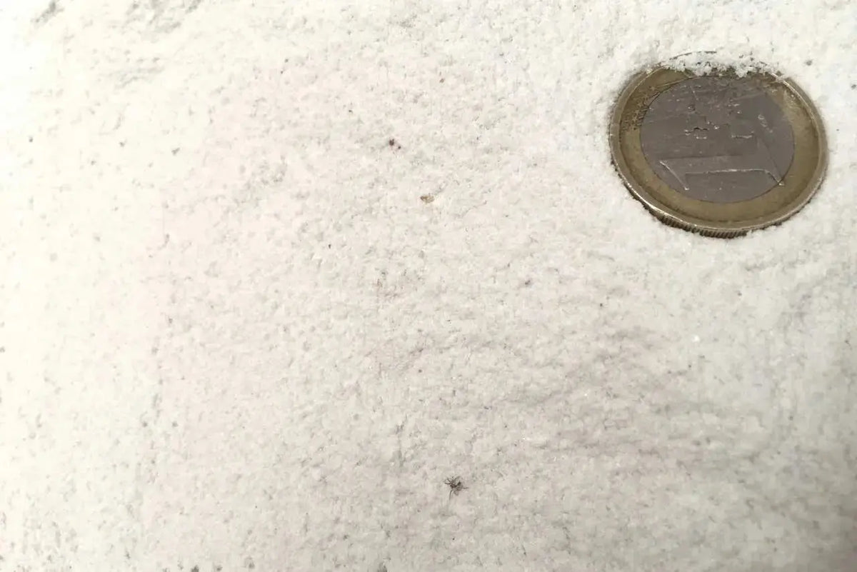 Sablage et Grenaillage Mineravi