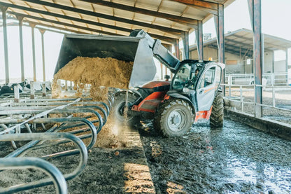 Arena lecho cama para vacas Vicasani Mineravi