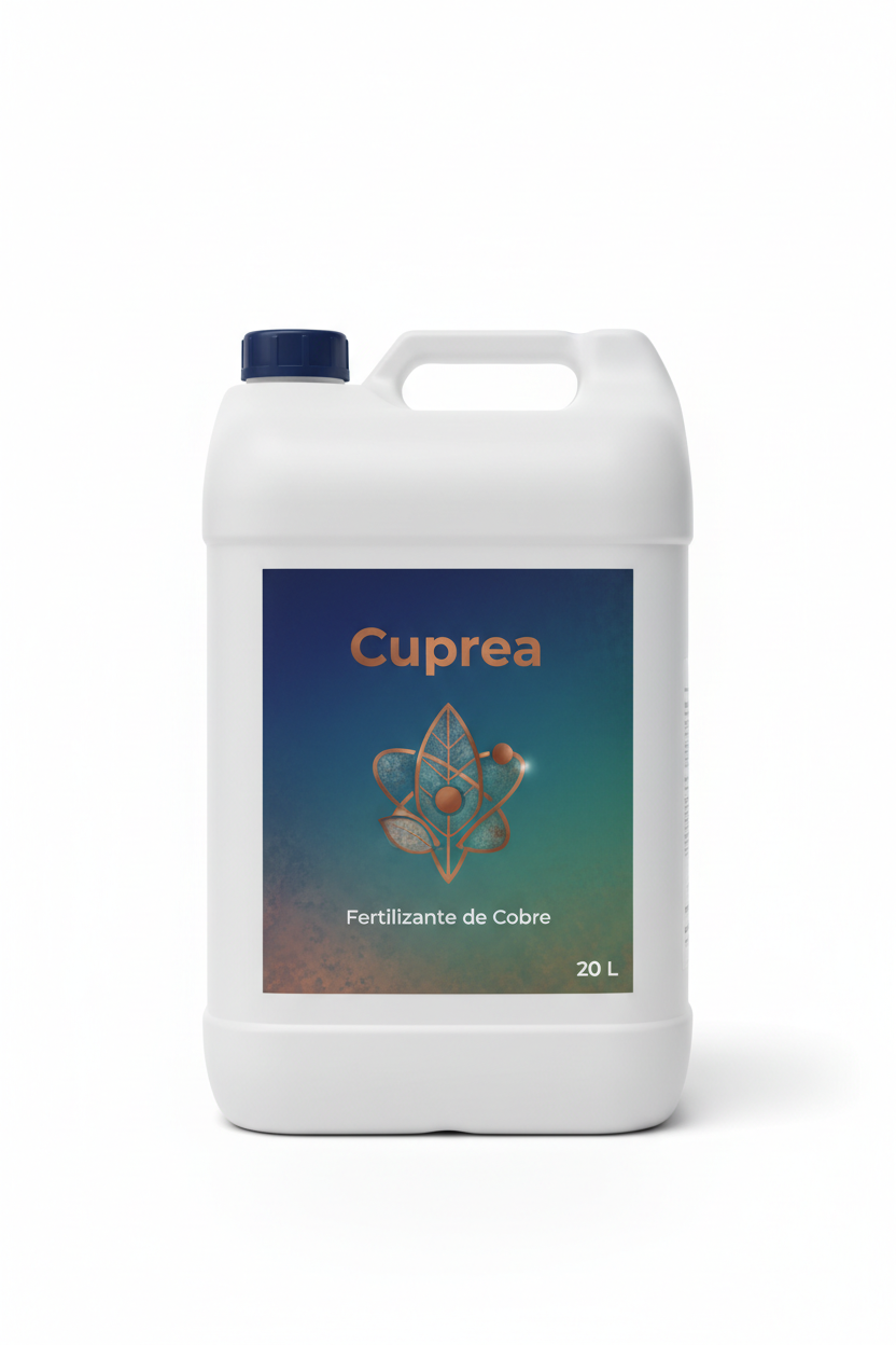 Cuprea — Du cuivre qui protège contre les champignons et les bactéries