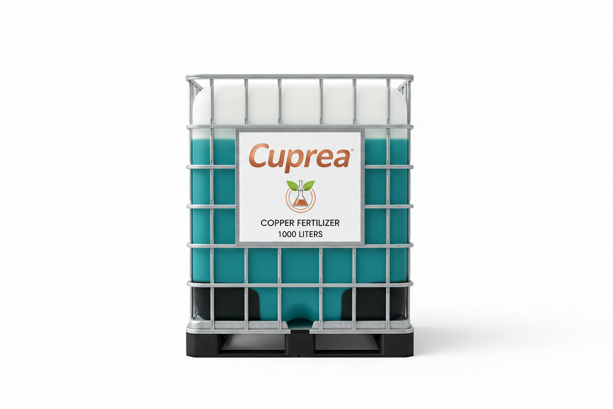 Cuprea — Du cuivre qui protège contre les champignons et les bactéries