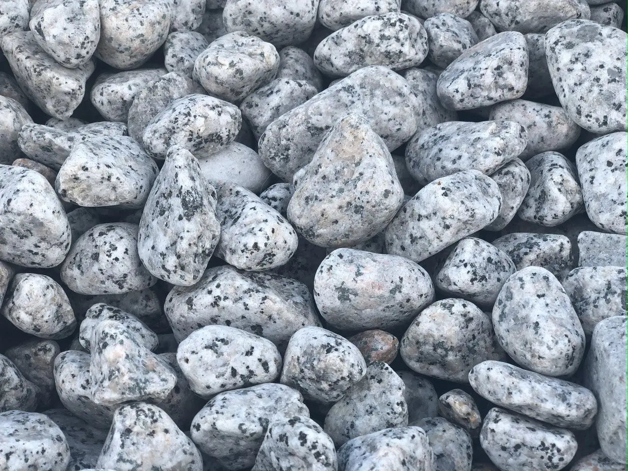 Piedra para Lecho Tortugas Vio Habit Vio Habit